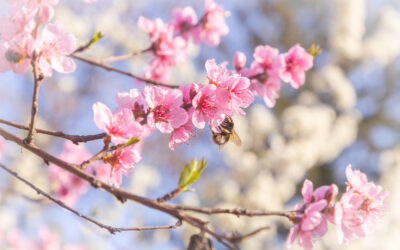 Užijte si volný den a udělejte dobrý skutek!